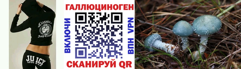 Псилоцибиновые грибы мицелий  где продают   Костерёво 
